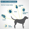 Elanco - Seresto Flea & Tick Collar for Dogs