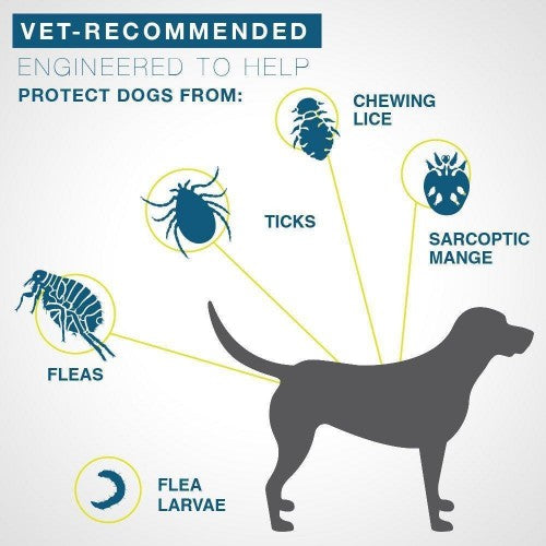 Elanco - Seresto Flea & Tick Collar for Dogs