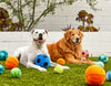Jax & Bones - 3 Tennis Ball Plush Dog Toy