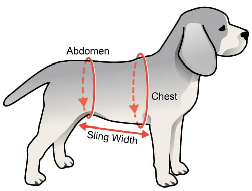 Pet support sling cheap