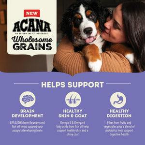 Acana - Wholesome Grains, Large Breed Puppy Recipe Dry Dog Food