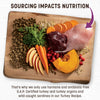 Earth Animal - Wisdom Air-Dried Turkey Recipe Dog Food