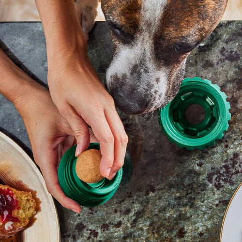 Woof Pet - The Birthday Blue Pupsicle