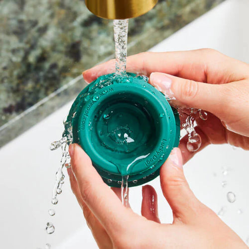 Woof Pet - The Birthday Pink Pupsicle