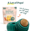 Woof Pet - Balanced Belly Pupsicle Mix for Dogs