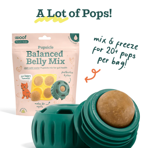 Woof Pet - Balanced Belly Pupsicle Mix for Dogs