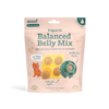 Woof Pet - Balanced Belly Pupsicle Mix for Dogs