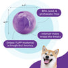 Outward Hound - Orbee-Tuff Mazee Interactive Puzzle Dog Toy