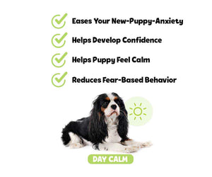 Snuggle Puppy - Puppy Bites Day Calm Supplement
