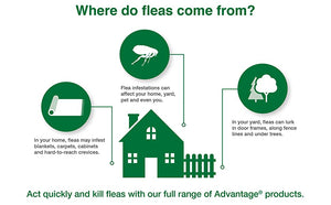 Elanco - Advantage Flea, Tick, Dust Mite and Bed Bug Spot and Crevice Spray