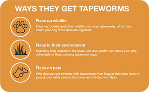Elanco - Tapeworm Dewormer (praziquantel tablets) for Dogs
