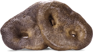 Vital Essentials - Freeze-Dried Raw Pig Snout Dog Treat
