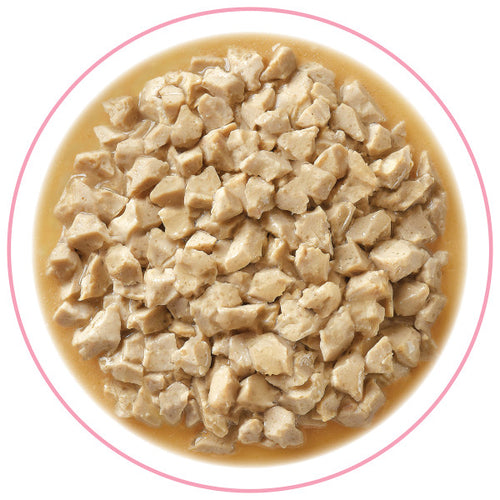 Stella & Chewy's - Carnivore Cravings Morsels in Gravy Chicken & Salmon Wet Cat Food