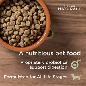 Diamond Naturals - Skin & Coat All Life Stages Salmon & Potato Formula Dry Dog Food