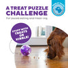 Outward Hound - Orbee-Tuff Mazee Interactive Puzzle Dog Toy