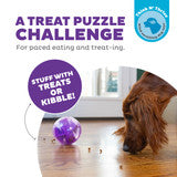 Outward Hound - Orbee-Tuff Mazee Interactive Puzzle Dog Toy
