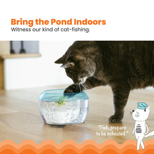 Outward Hound - Meow-smerizing Fish Bowl Cat Toy