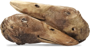 Vital Essentials - Freeze-Dried Raw Duck Head Dog Treat