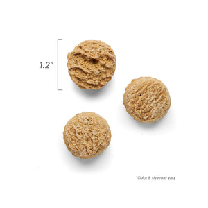 The Honest Kitchen - Pumpkin & Cinnamon Goat's Milk N' Cookies Dog Treat