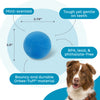 Outward Hound - Orbee-Tuff Squeak Ball Dog Toy
