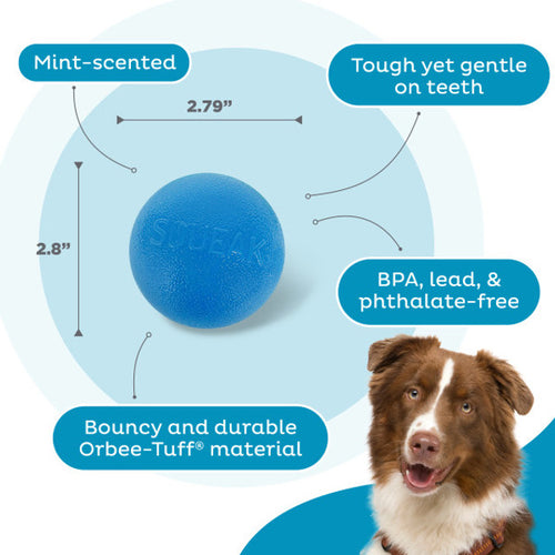 Outward Hound - Orbee-Tuff Squeak Ball Dog Toy