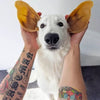 Whimzees - Ears Daily Dental Treat for Dogs