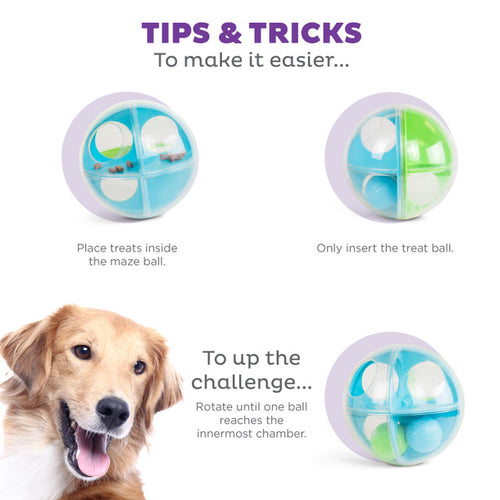 Outward hound dog treat maze hotsell