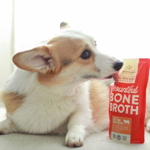Stella & Chewy's - Bountiful Bone Broth Grass-Fed Beef Bone Broth Recipe