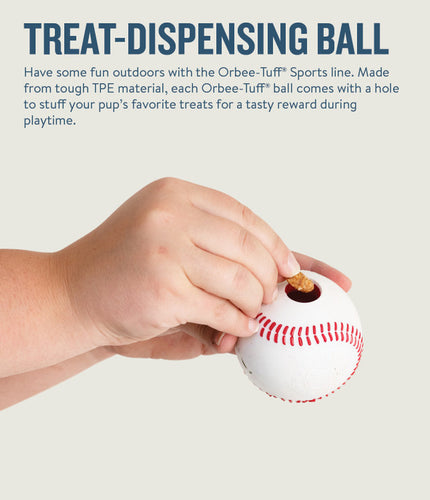 Outward Hound -  Orbee-Tuff Baseball Treat-Dispensing Dog Chew Toy