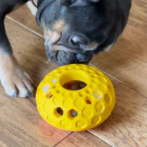 Tall Tails - Natural Rubber Bee Hive Reward Dog Toy