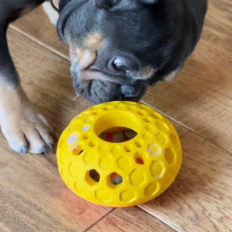 Tall Tails - Natural Rubber Bee Hive Reward Dog Toy