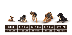 Earth Animal - Salmon No-Hide Rolls Dog Chew