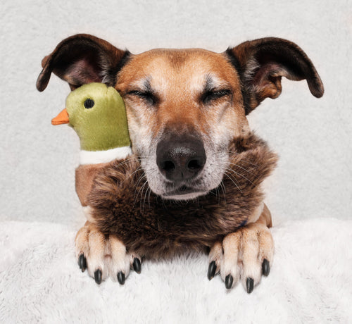 Fluff & Tuff - Morley Mallard Dog Toy