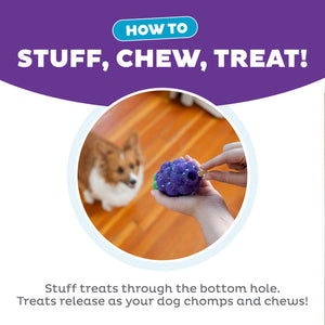 Outward Hound - Dental Grapes Dental Chew Toy and Interactive Treat Stuffer Dog Toy