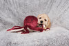 Fluff & Tuff - Olympia Octopus Dog Toy