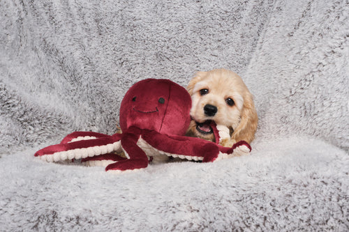 Fluff & Tuff - Olympia Octopus Dog Toy
