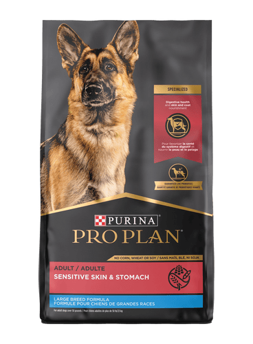 Purina Pro Plan Adult Large Breed Sensitive Skin Stomach Salmon Rice Formula Dry Dog Food Altoona IA Des Moines IA Urbandale IA West Des Moines IA Bone a Patreat