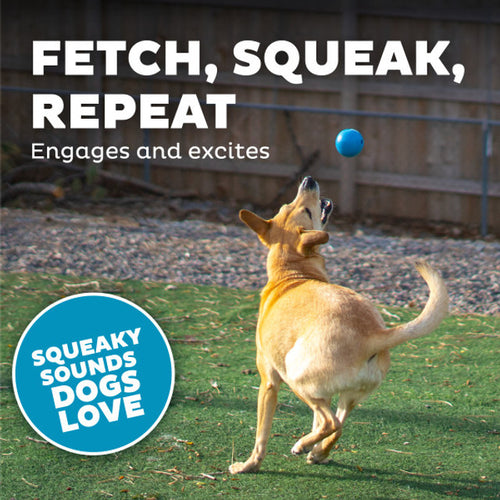 Outward Hound - Orbee-Tuff Squeak Ball Dog Toy