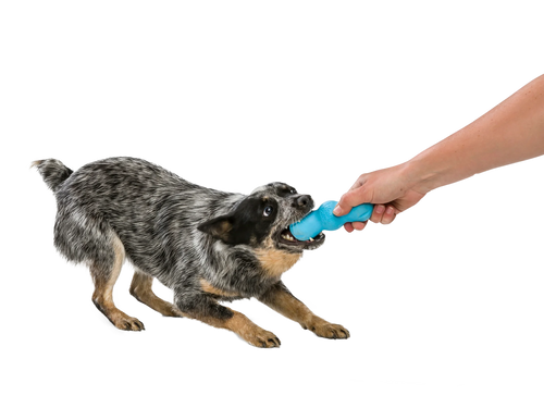 West Paw - Rumpus Chew Dog Toy
