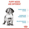 Royal Canin - Medium Puppy Dry Dog Food