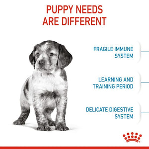 Royal Canin - Medium Puppy Dry Dog Food