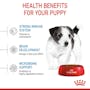 Royal Canin - Small Puppy Dry Dog Food