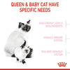 Royal Canin - Mother & Babycat Dry Cat Food