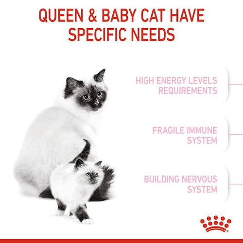 Royal Canin - Mother & Babycat Dry Cat Food