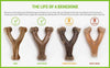 Benebone - Wishbone Dog Chew Toy