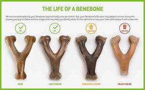 Benebone - Wishbone Dog Chew Toy