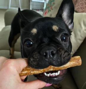 Whimzees - Sausage Daily Dental Treat for Dogs