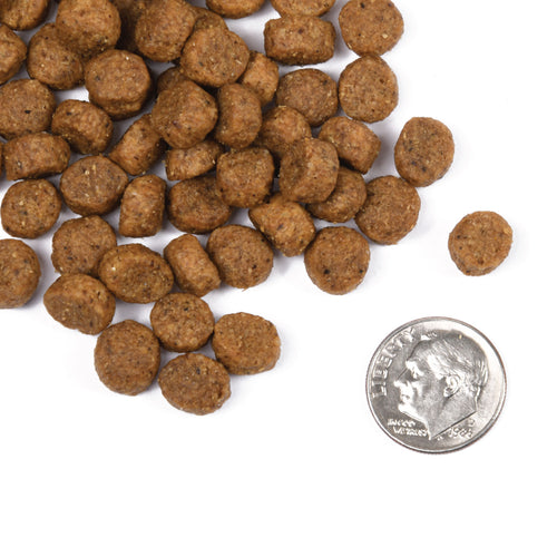 Fromm - Classic Puppy Dry Dog Food