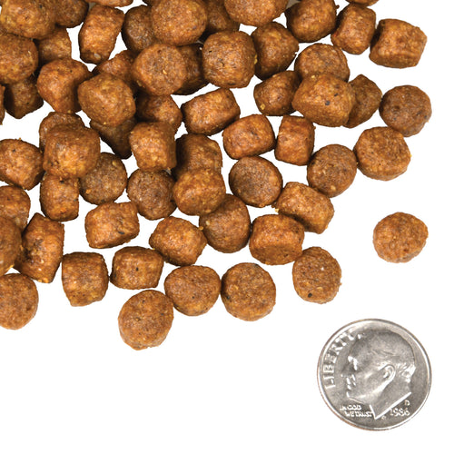 Fromm - Beef Frittata Veg Recipe Dry Dog Food