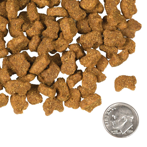 Fromm - Lamb & Lentil Recipe Dry Dog Food